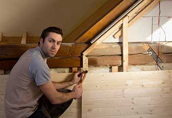 Rodent Proofing Near Tustin | Attic Cleaning Irvine